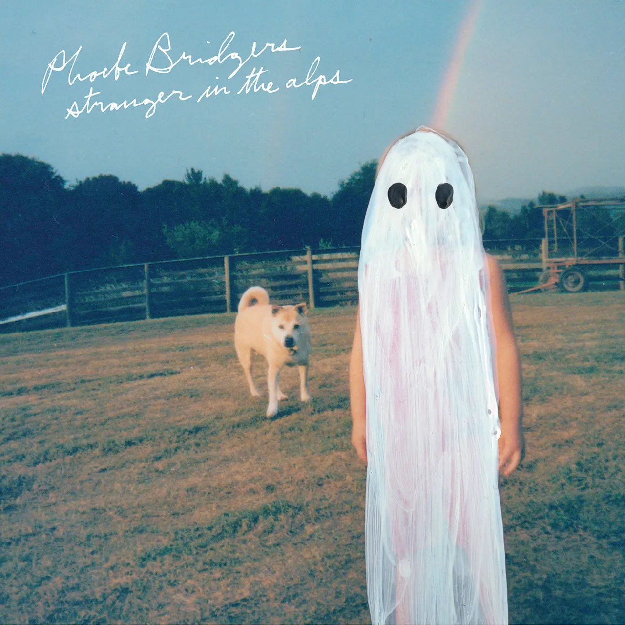 Phoebe Bridgers ~ Stranger In The Alps (Vinyl) - Djungel & Jazz