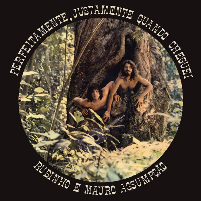 Rubinho E Mauro Assumpção ~ Perfeitamente, Justamente Quando Cheguei (Vinyl) - Djungel & Jazz