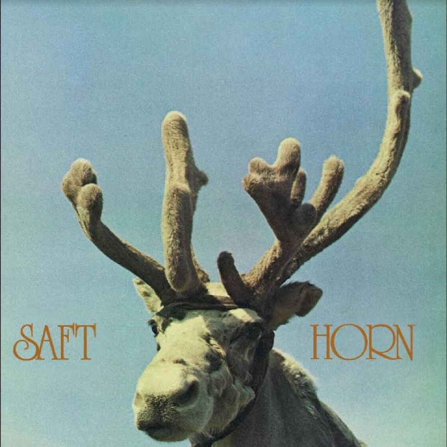 Saft  ~ Horn (Vinyl) - Djungel & Jazz