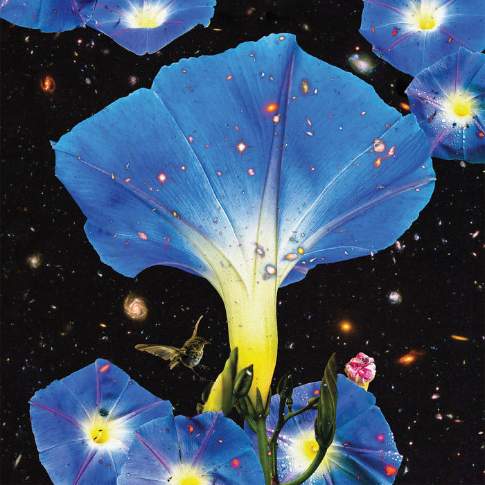 Sarah Louise  ~ Nighttime Birds And Morning Stars (Vinyl) - Djungel & Jazz