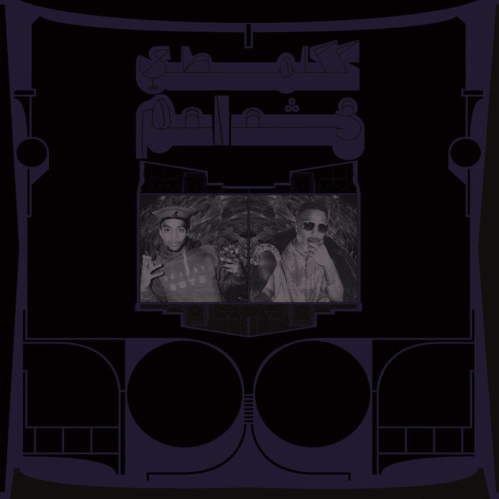 Shabazz Palaces ~ Exotic Birds of Prey (Vinyl) - Djungel & Jazz