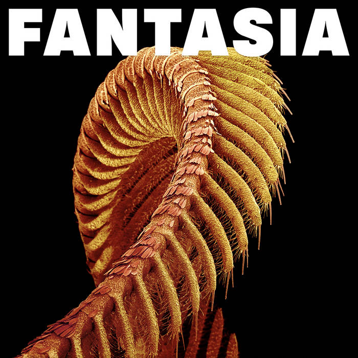 Slift ~ Fantasia (Vinyl) - Djungel & Jazz