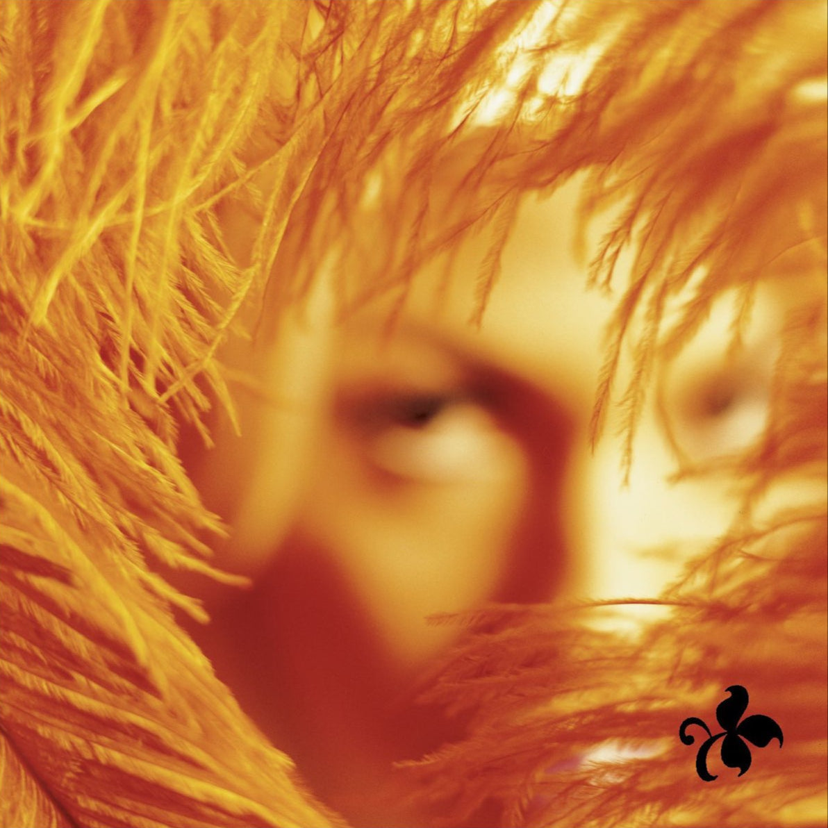 Stone Temple Pilots ~ Shangri-La Dee Da (Vinyl) - Djungel & Jazz