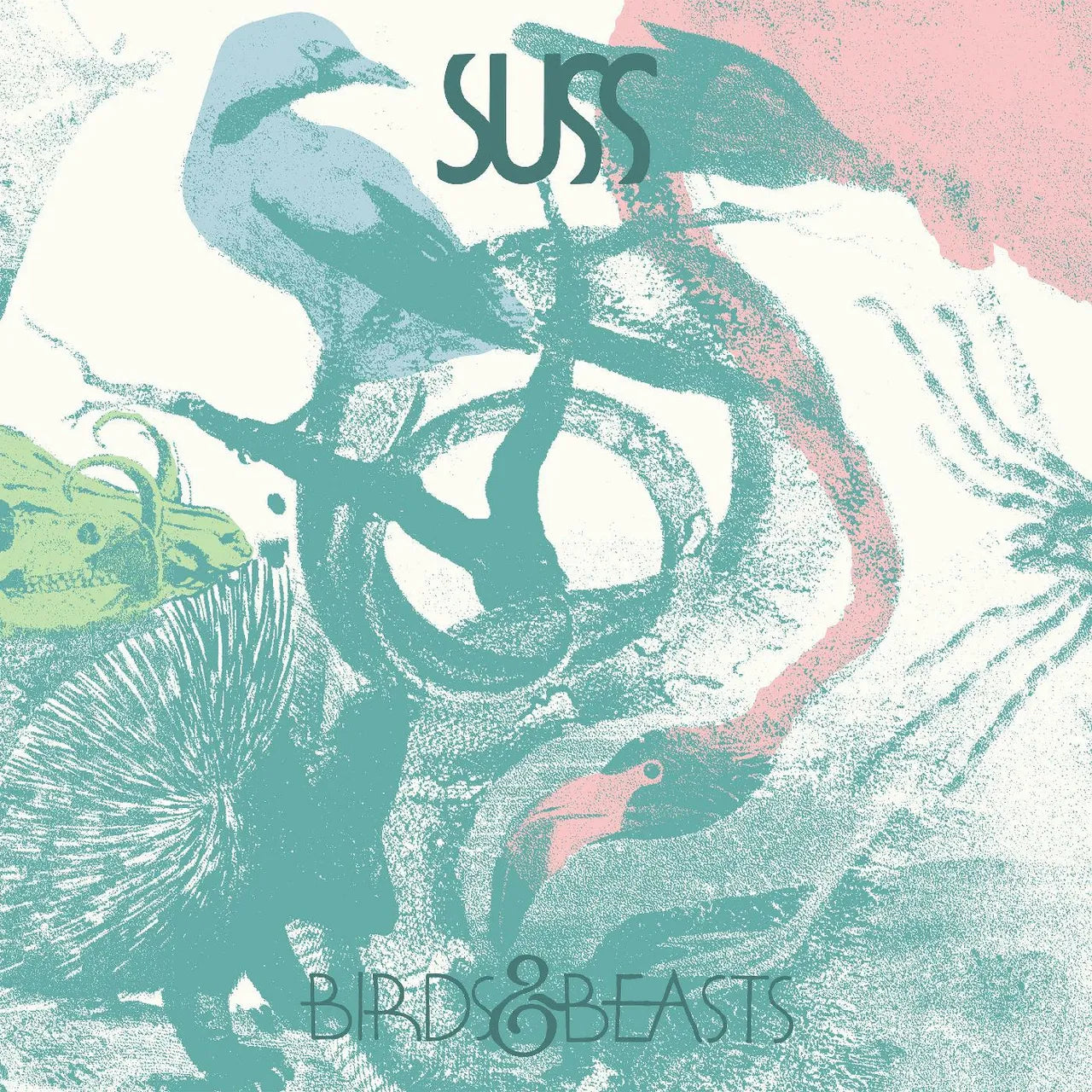Suss ~ Birds & Beasts (Vinyl) - Djungel & Jazz