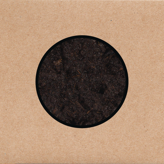 Swans ~ Birthing (Vinyl) - Djungel & Jazz