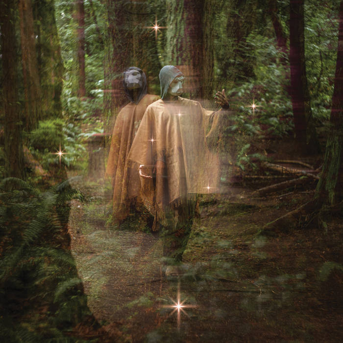 Terror / Cactus ~ Forastero (Vinyl) - Djungel & Jazz