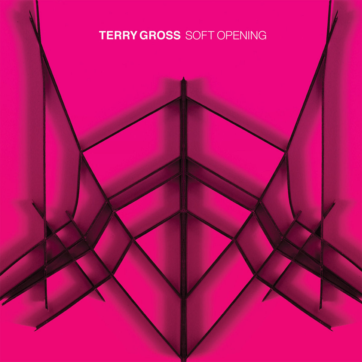 Terry Gross ~ Soft Opening (Vinyl) - Djungel & Jazz