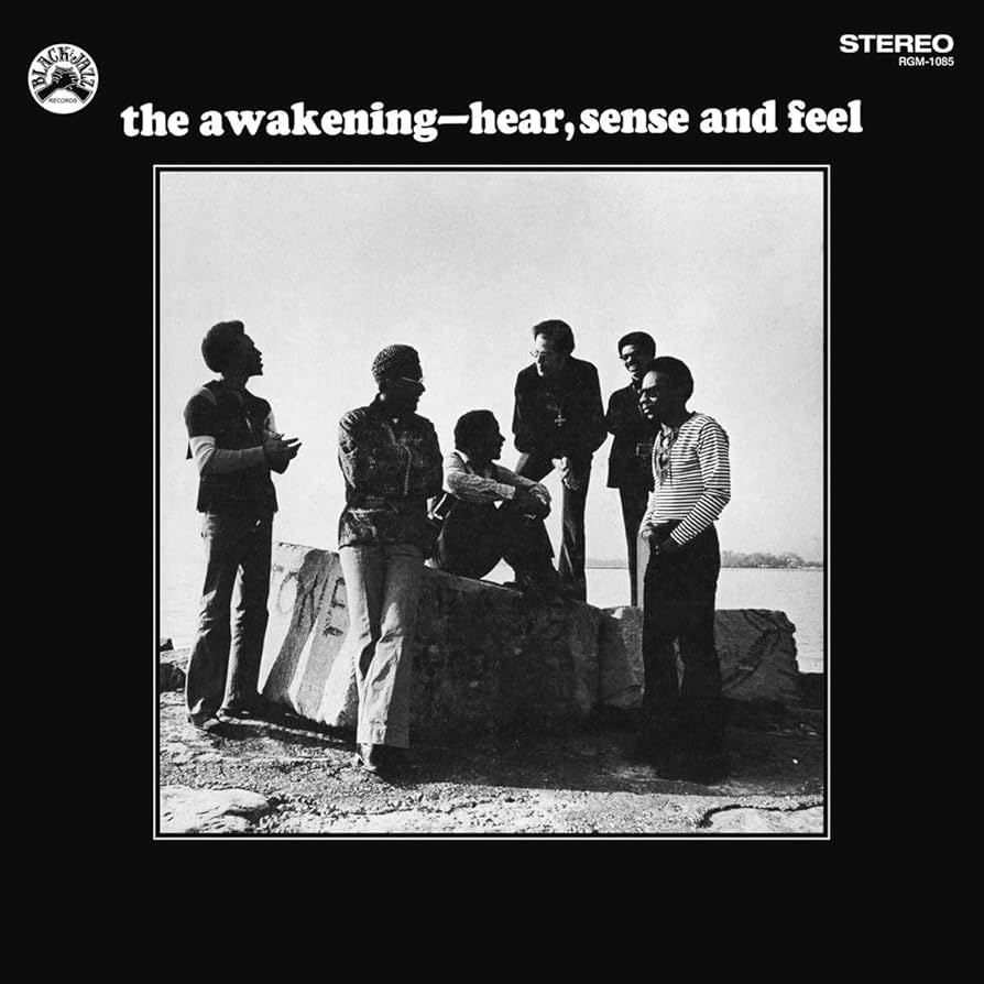 The Awakening ~ Hear, Sense And Feel (Vinyl) - Djungel & Jazz