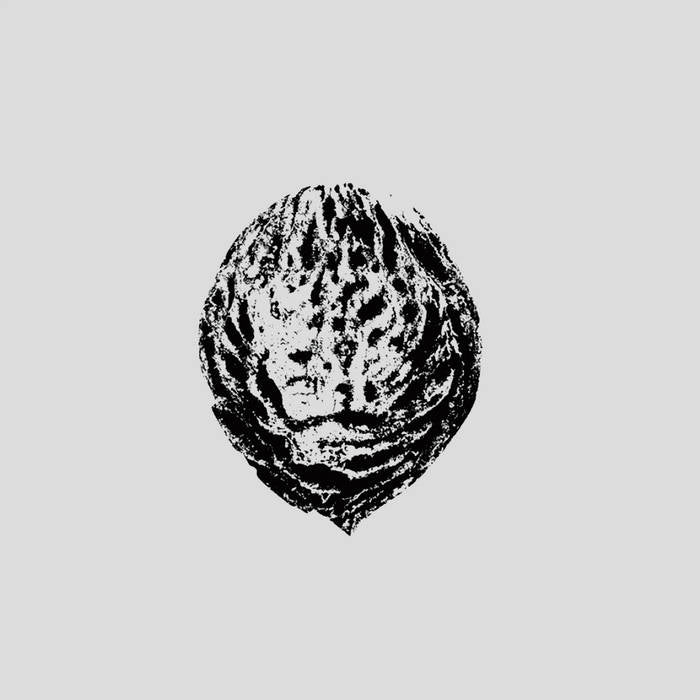 The Black Lips ~ Bebop Armageddon (Detours & Offcuts From Season Of The Peach) (Vinyl) - Djungel & Jazz
