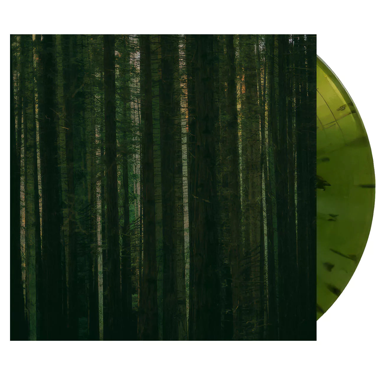 The Paper Kites ~ Evergreen (Vinyl) - Djungel & Jazz