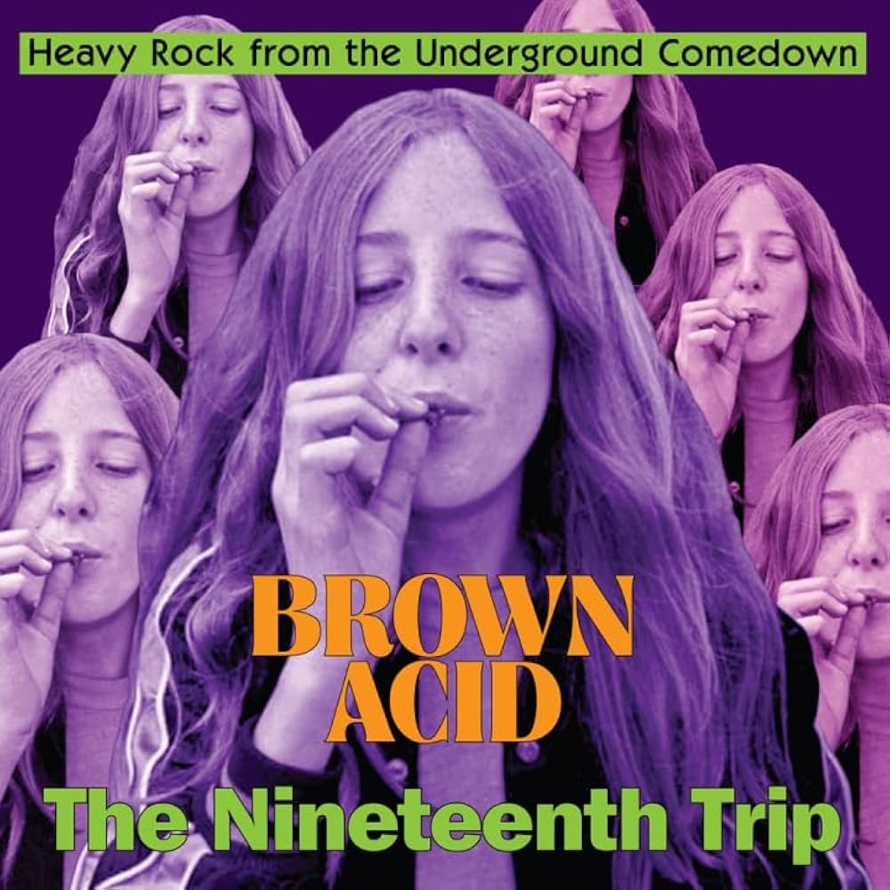Various ~ Brown Acid: The Nineteenth Trip (Heavy Rock From The Underground Comedown) (Vinyl) - Djungel & Jazz