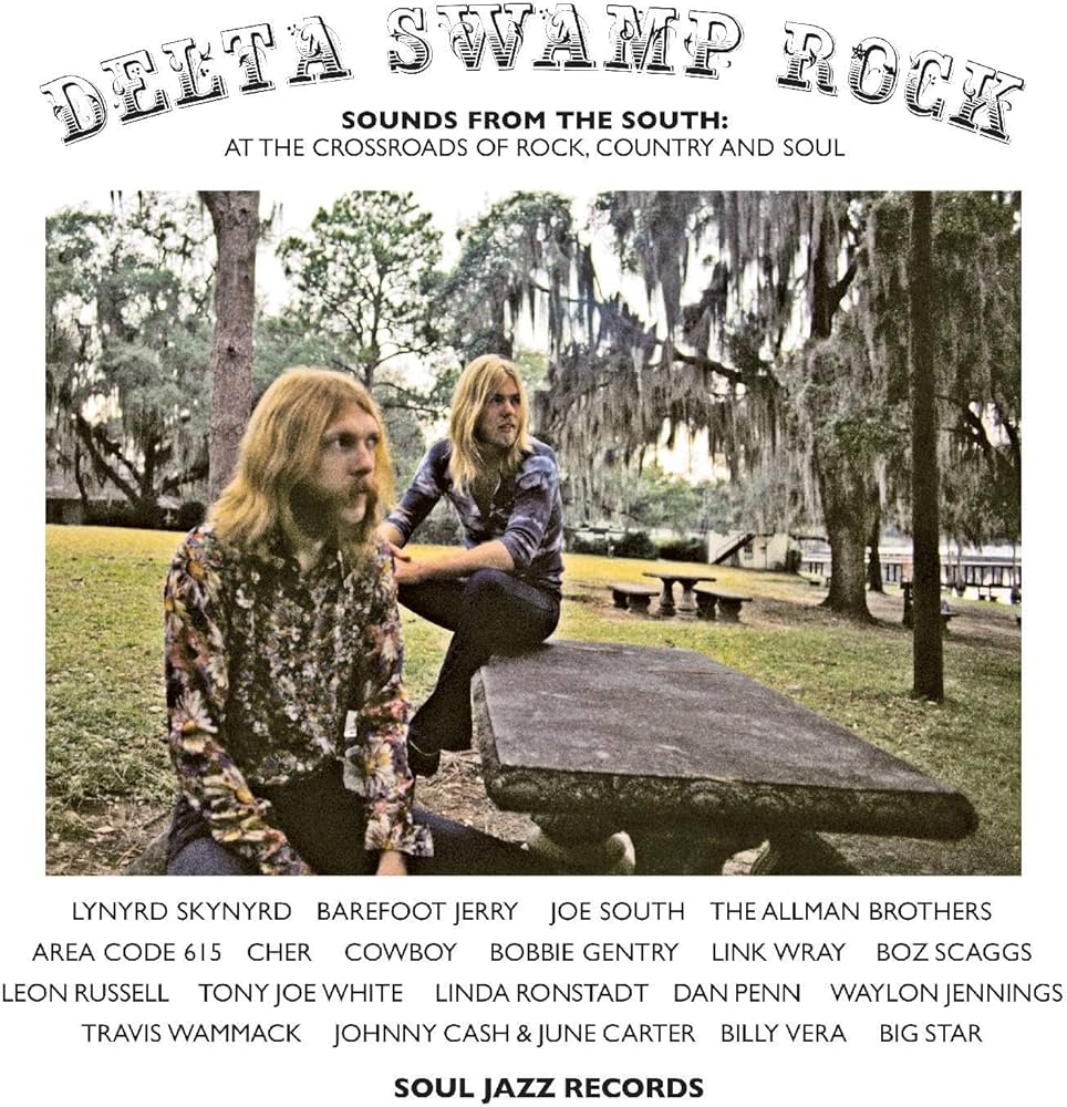 Various ~ Delta Swamp Rock (Sounds From The South: At The Crossroads Of Rock, Country And Soul) (Vinyl) - Djungel & Jazz