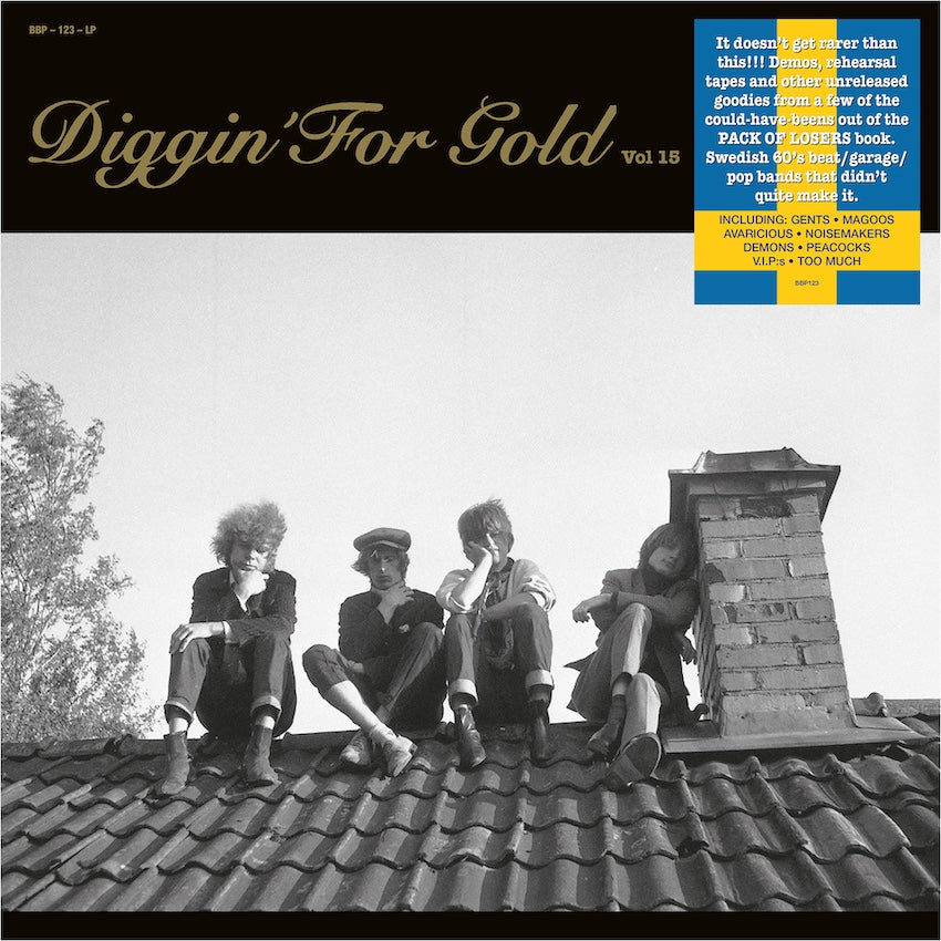 Various ~ Diggin' For Gold Vol 15 (A Collection Of Demented 60' R&B/Punk & Mesmerizing Pop.) (Vinyl) - Djungel & Jazz