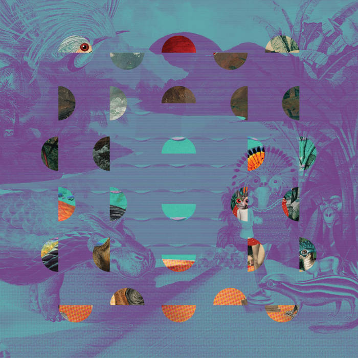 Various ~ Jazz Dispensary: Super Skunk (Vinyl) - Djungel & Jazz