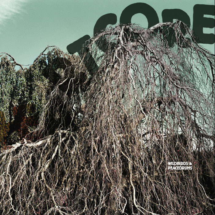 Wildbirds & Peacedrums ~ Heartcore (Vinyl) - Djungel & Jazz