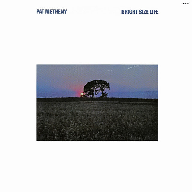 Pat Metheny ~ Bright Size Life (Vinyl) - Djungel & Jazz