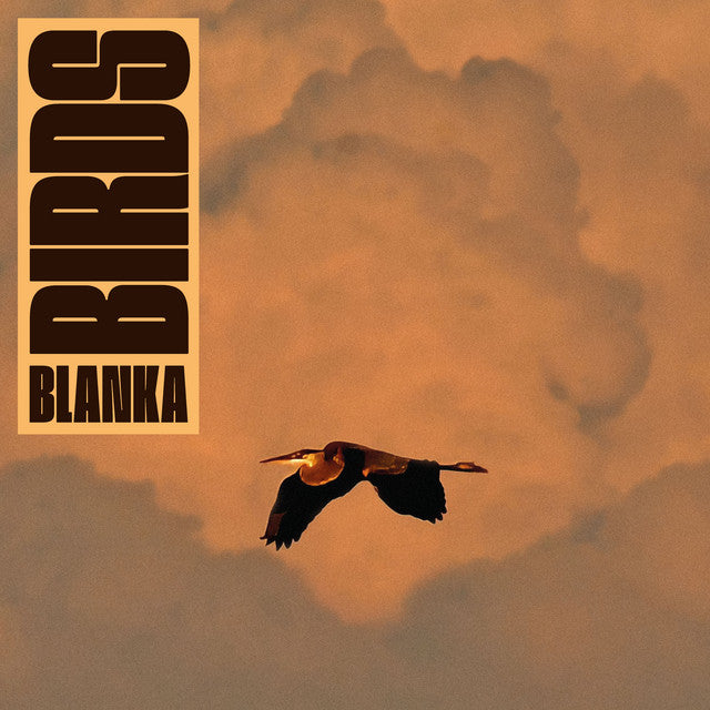 Blanka ~ Birds (Vinyl) - Djungel & Jazz