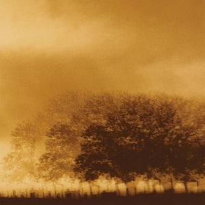 Infinite Light Ltd. ~ Infinite Light Ltd. (Vinyl) - Djungel & Jazz