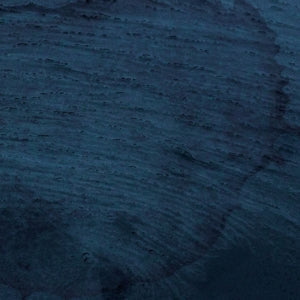 Multicast Dynamics ~ Aquatic System (Vinyl) - Djungel & Jazz