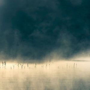 Oneirogen ~ Convivium (Vinyl) - Djungel & Jazz
