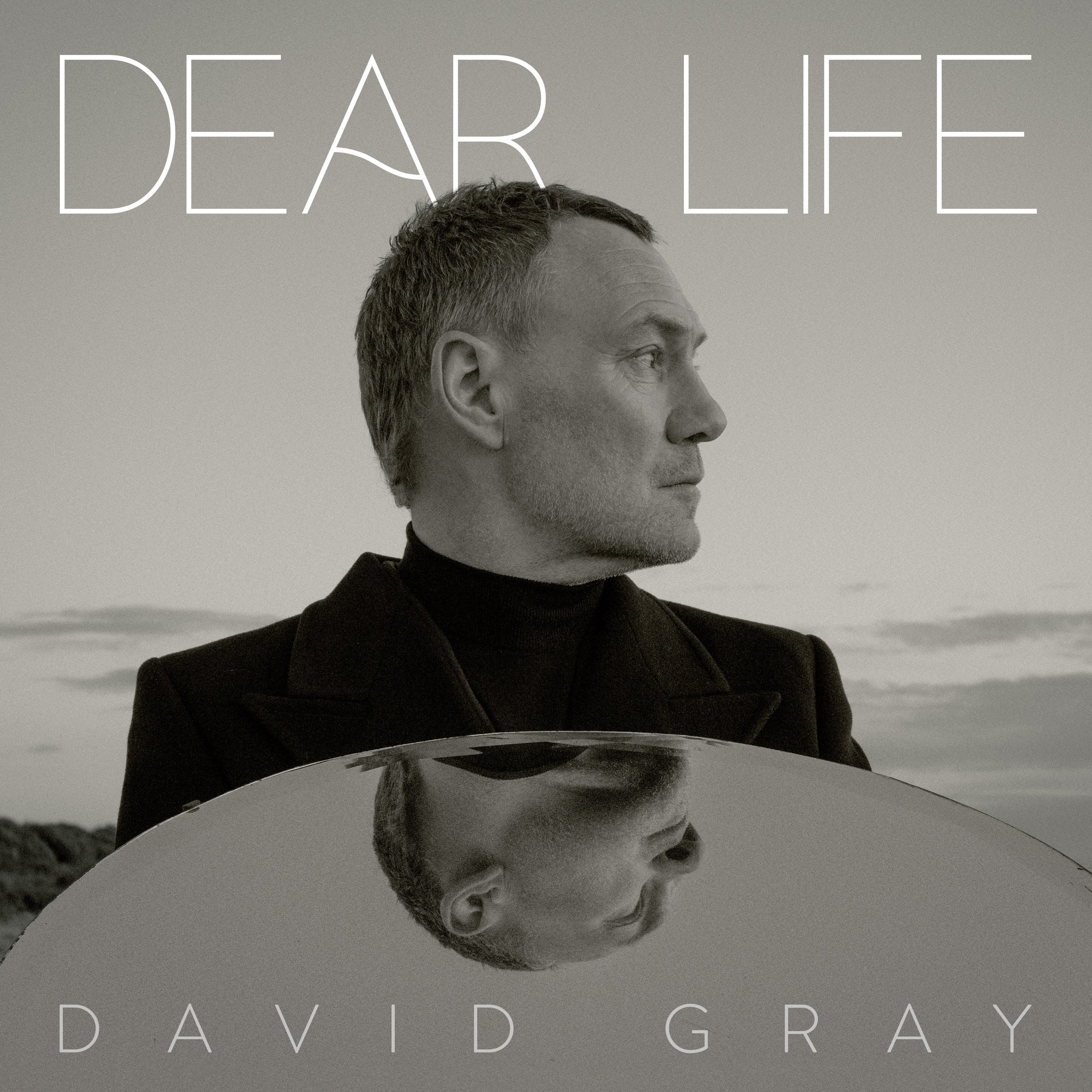 David Gray ~ Dear Life (Vinyl) - Djungel & Jazz