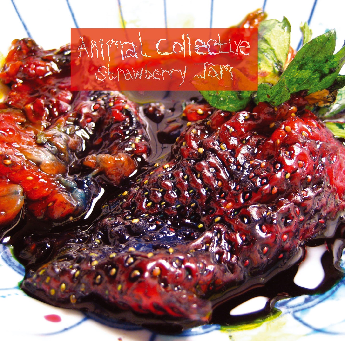 Animal Collective ~ Strawberry Jam (Vinyl) - Djungel & Jazz