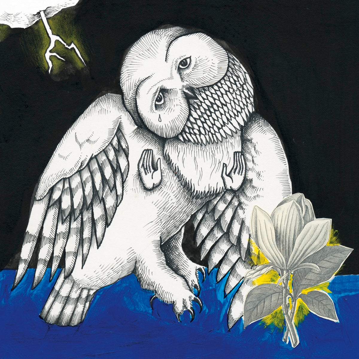 Songs: Ohia ~ The Magnolia Electric Co (Vinyl) - Djungel & Jazz