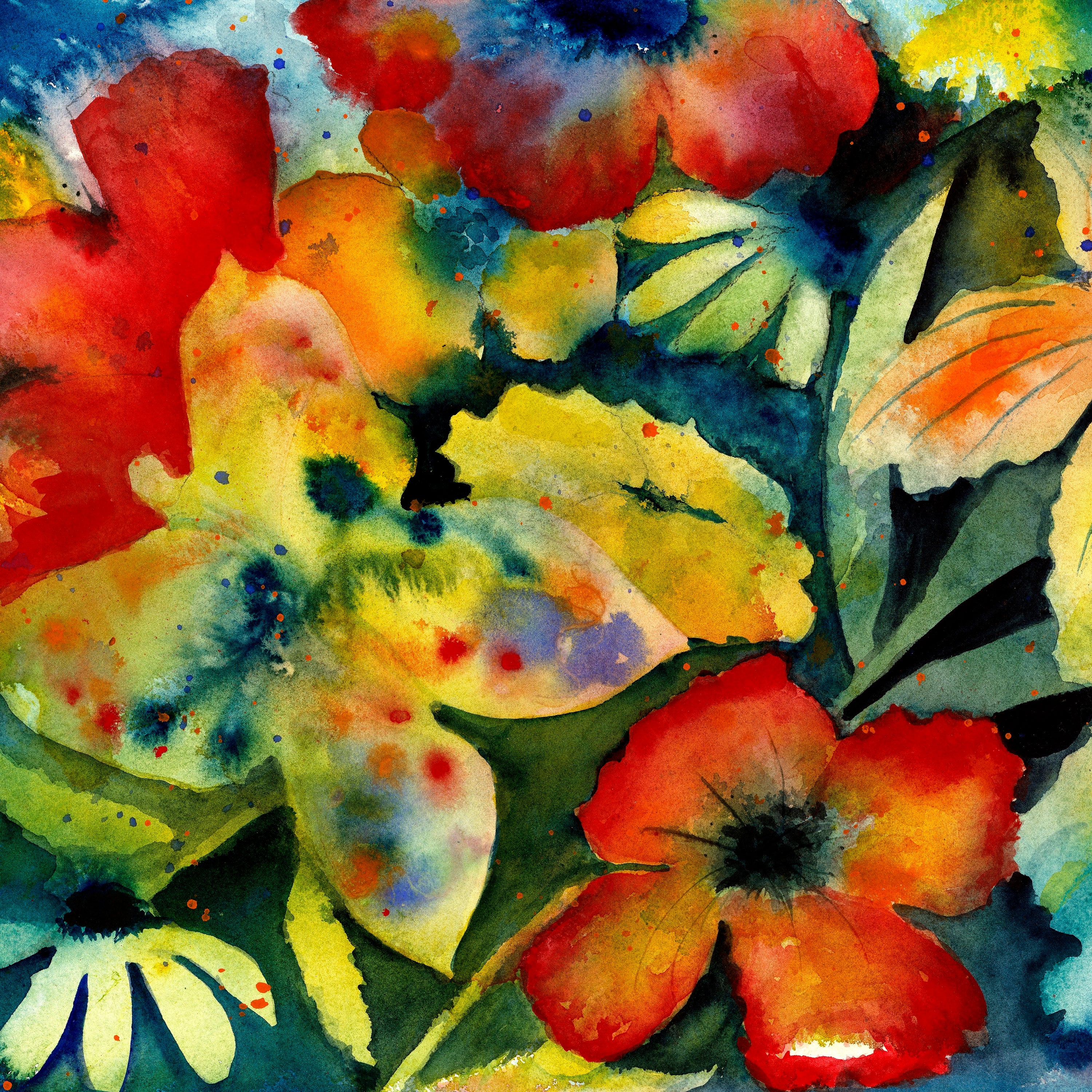 Adrianne Lenker ~ Songs And Instrumentals (Vinyl) - Djungel & Jazz