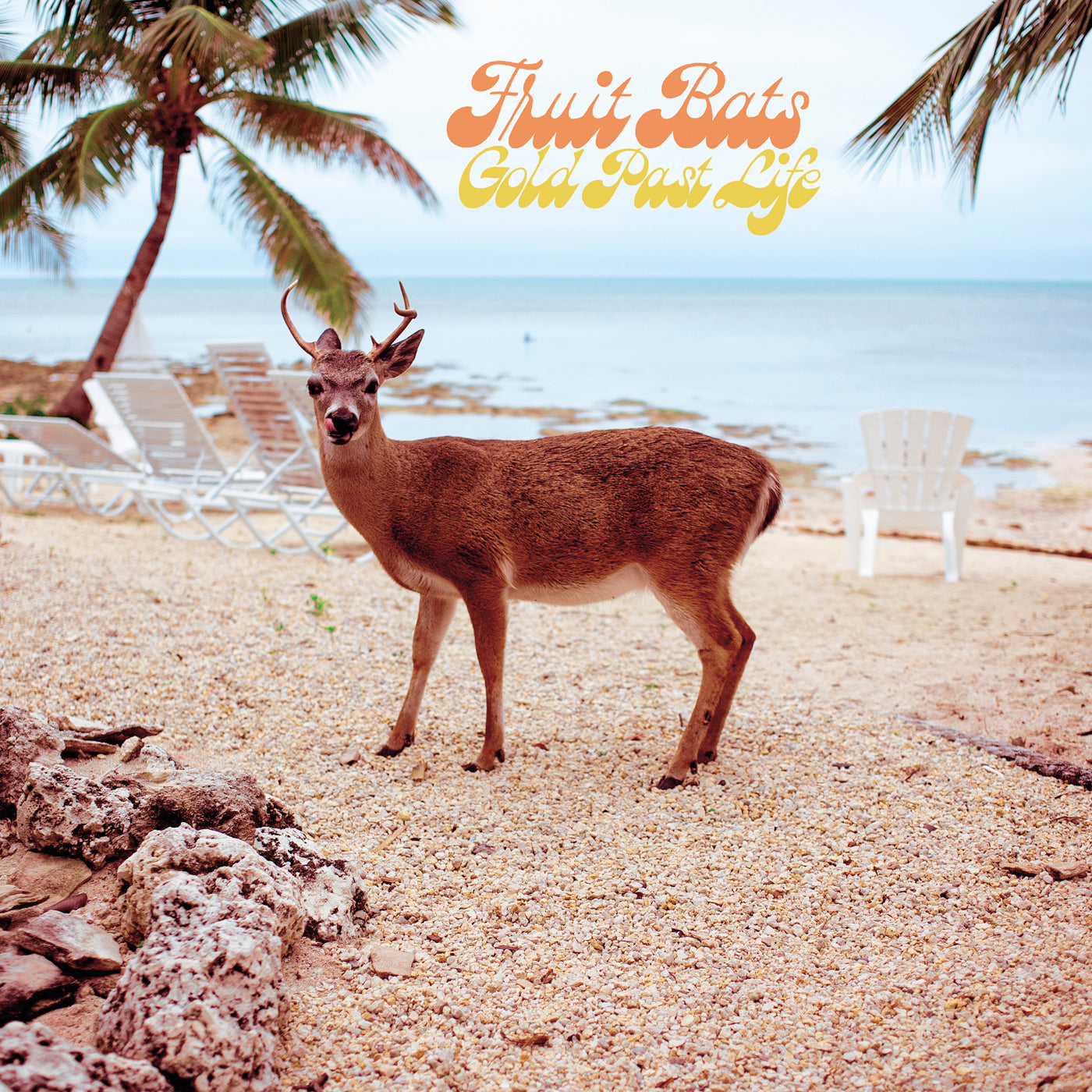 Fruit Bats ~ Gold Past Life (Vinyl) - Djungel & Jazz