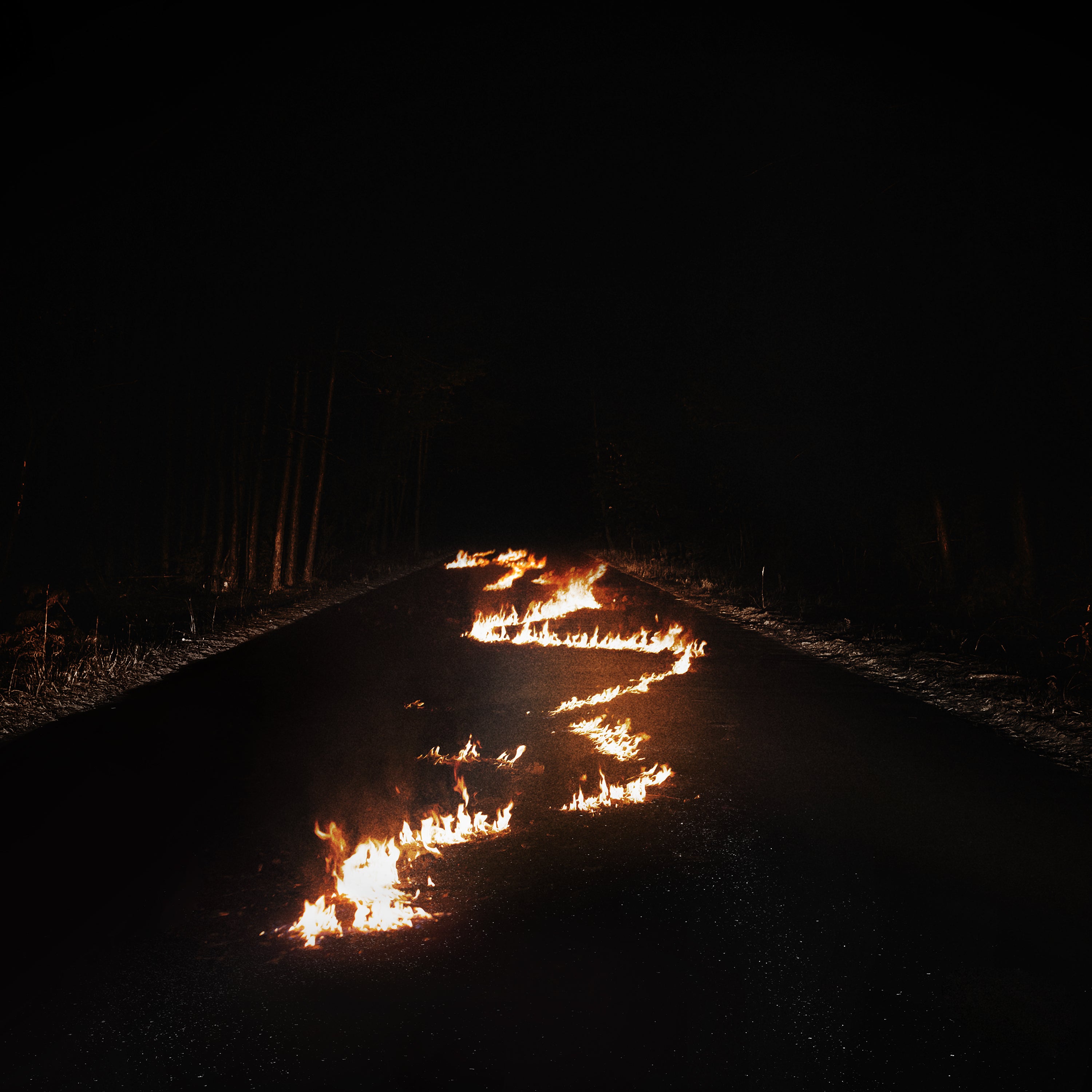 Bob Moses ~ Battle Lines (Vinyl) - Djungel & Jazz