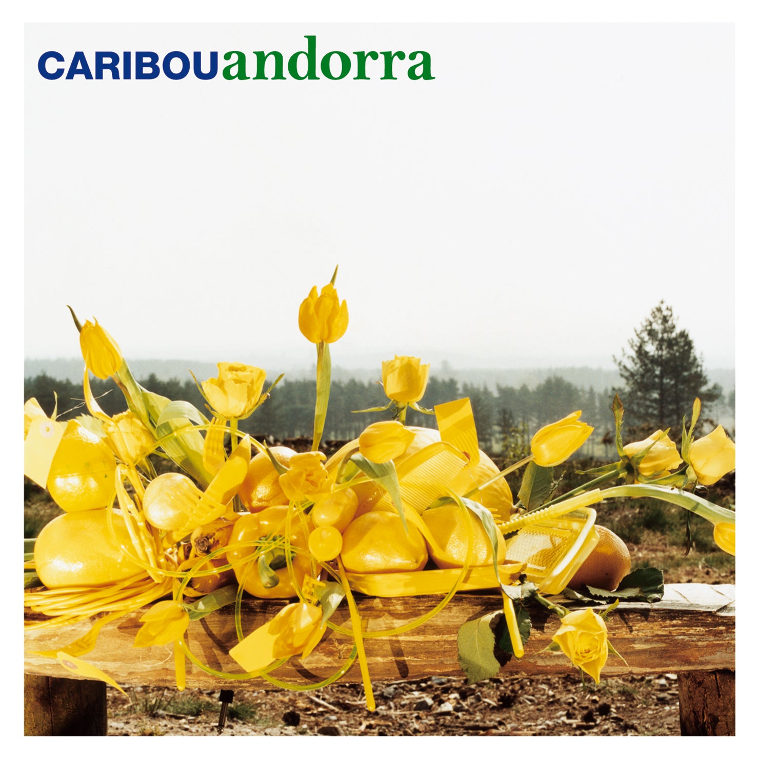 Caribou ~ Andorra (Vinyl) - Djungel & Jazz