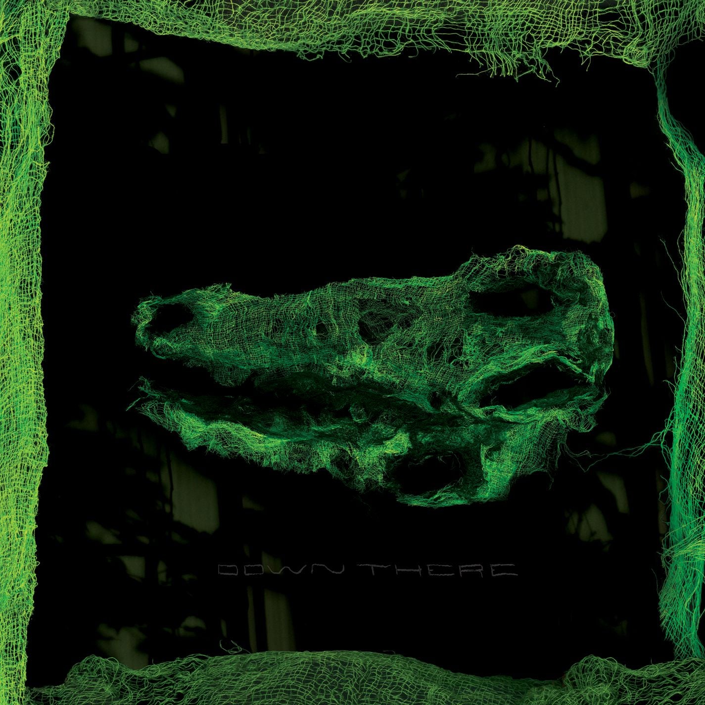 Avey Tare ~ Down There (Vinyl) - Djungel & Jazz