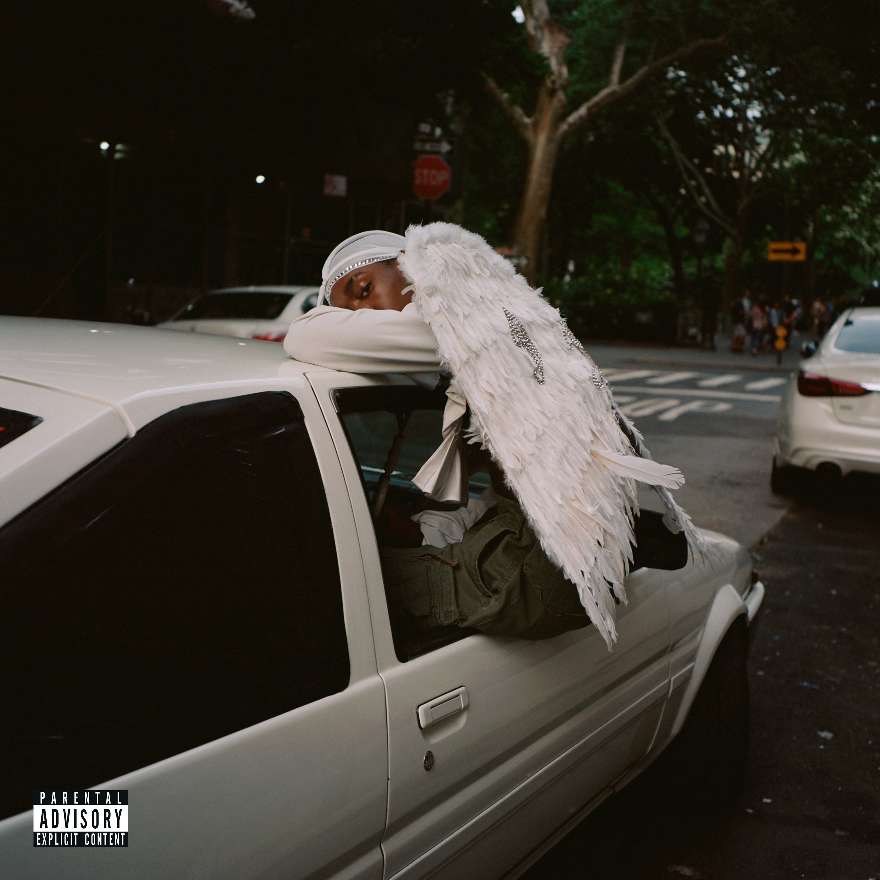 Blood Orange ~ Negro Swan (Vinyl) - Djungel & Jazz