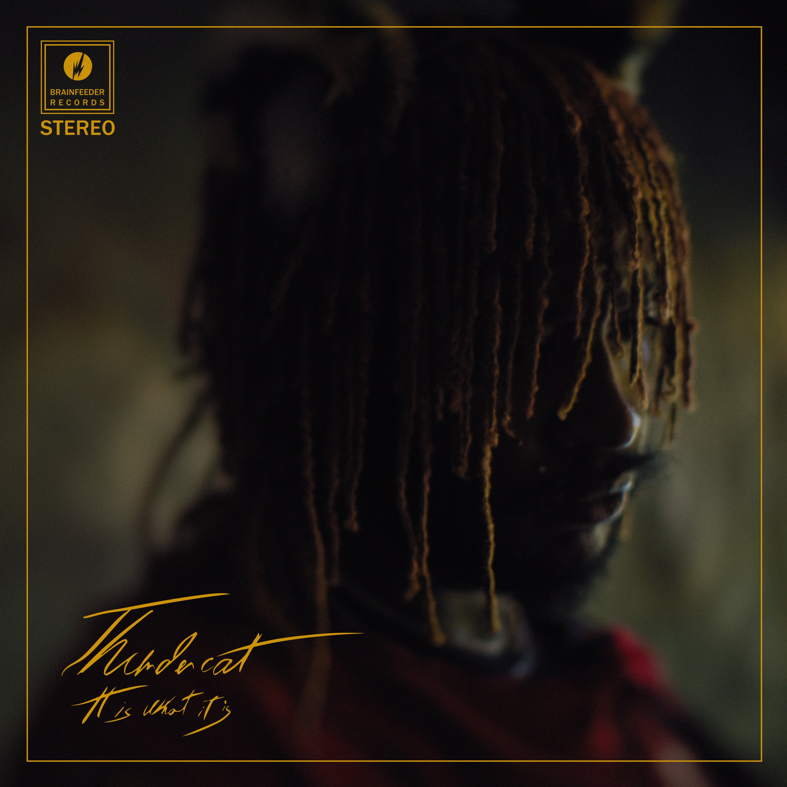 Thundercat ~ It Is What It Is (Vinyl) - Djungel & Jazz
