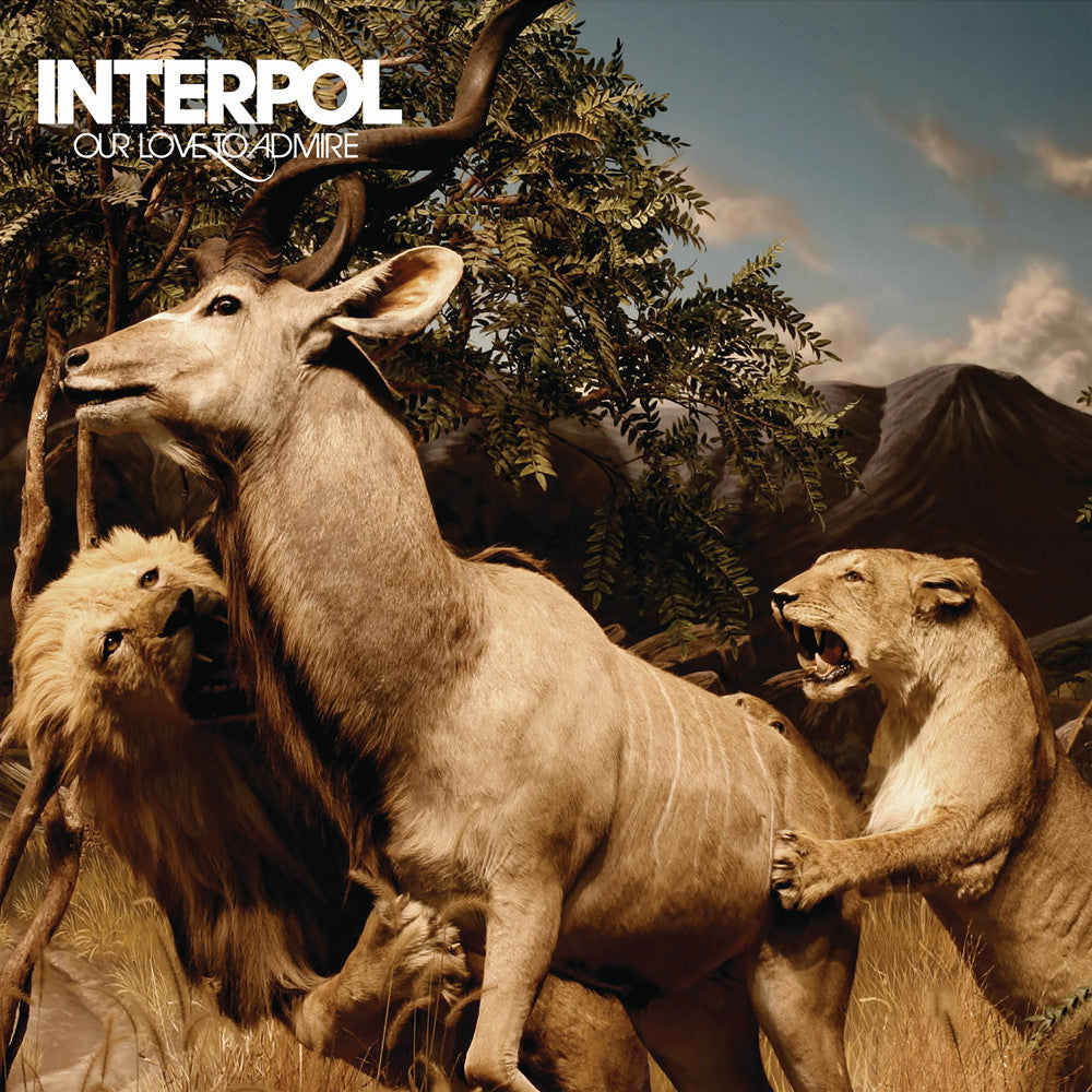 Interpol ~ Our Love To Admire (Vinyl) - Djungel & Jazz