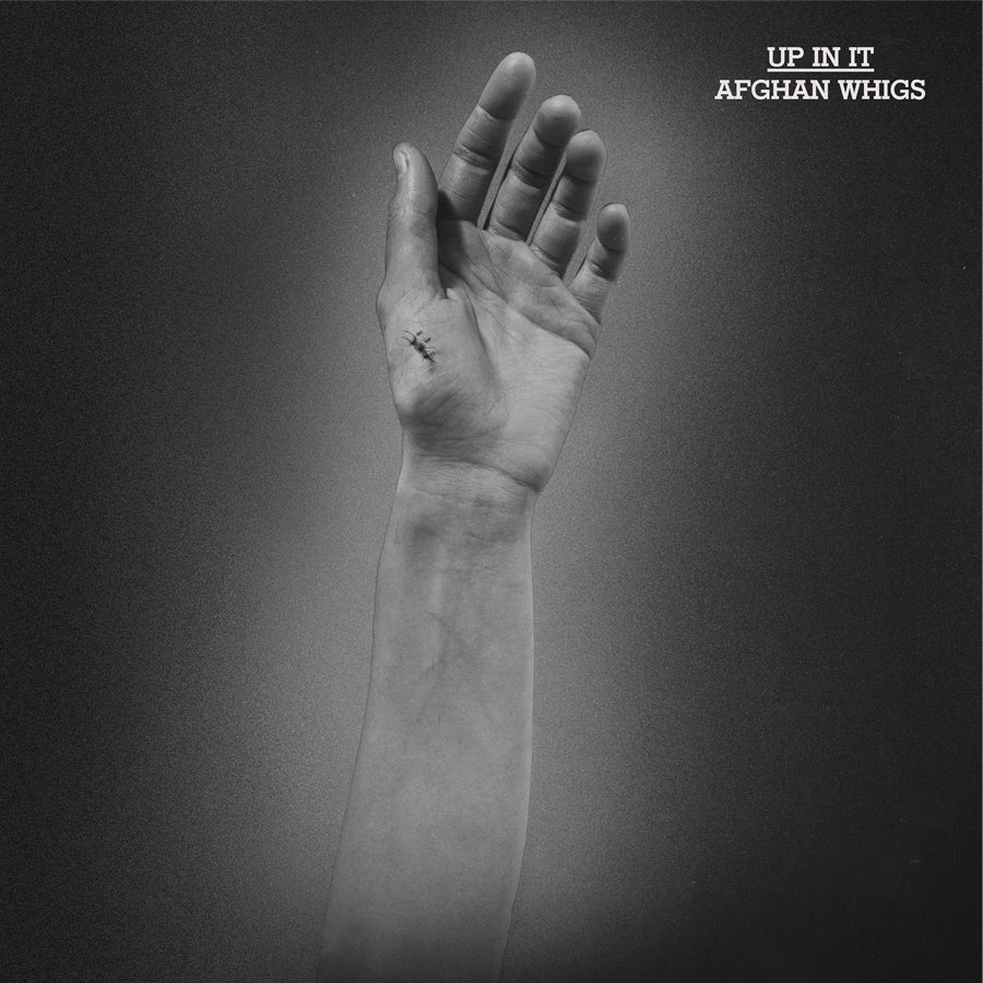 Afghan Whigs ~ Up In It (Vinyl) - Djungel & Jazz