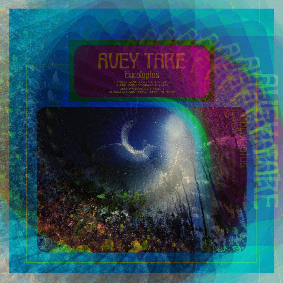Avey Tare ~ Eucalyptus (Vinyl) - Djungel & Jazz
