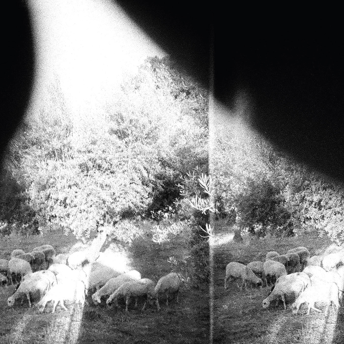 Godspeed You! Black Emperor ~ Asunder, Sweet And Other Distress (Vinyl) - Djungel & Jazz