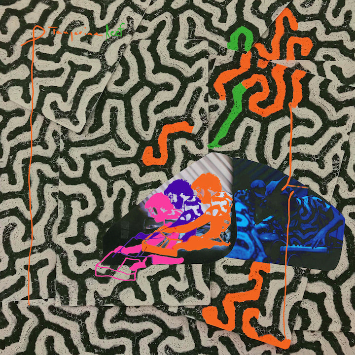Animal Collective ~ Tangerine Reef (Vinyl) - Djungel & Jazz