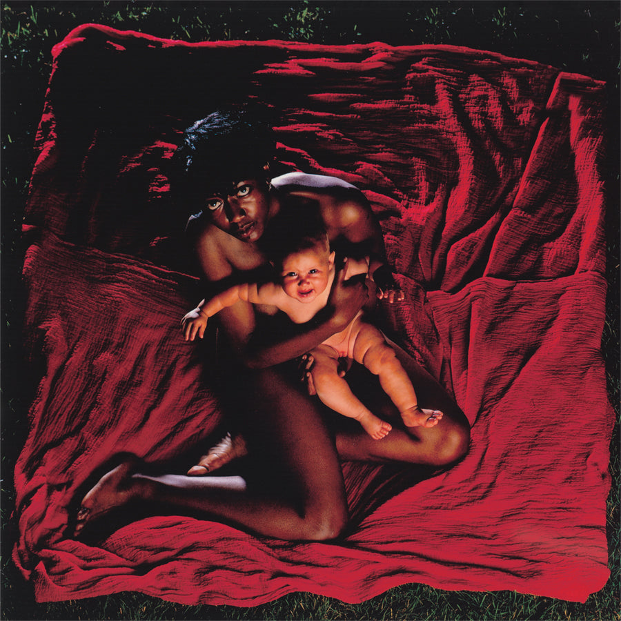 Afghan Whigs ~ Congregation (Vinyl) - Djungel & Jazz