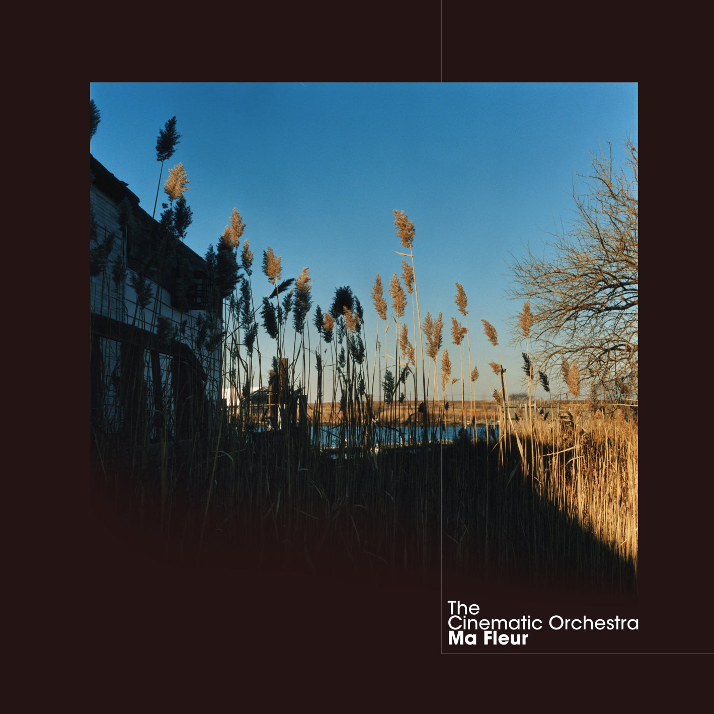 The Cinematic Orchestra ~ Ma Fleur (Vinyl) - Djungel & Jazz