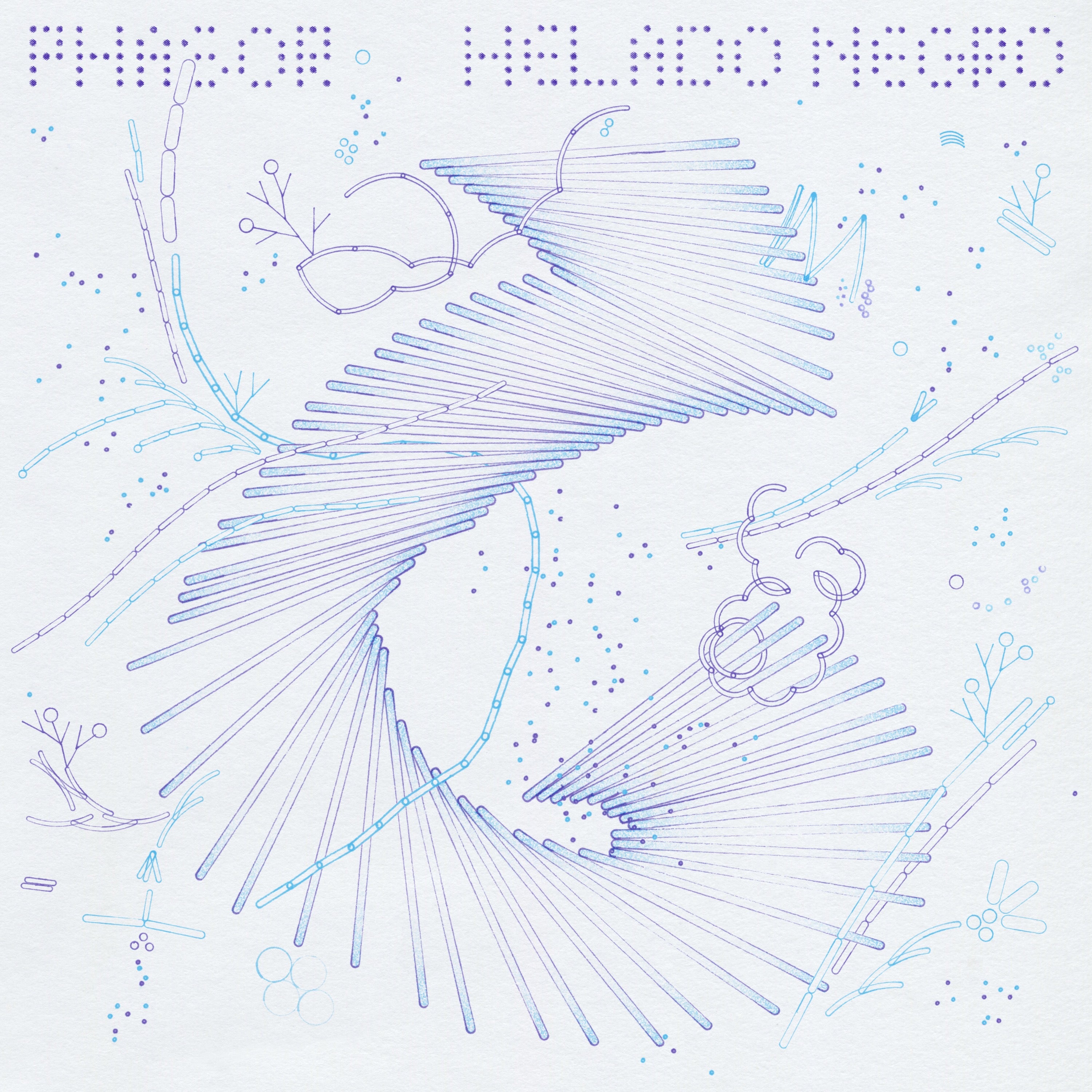 Helado Negro ~ Phasor (Vinyl) - Djungel & Jazz