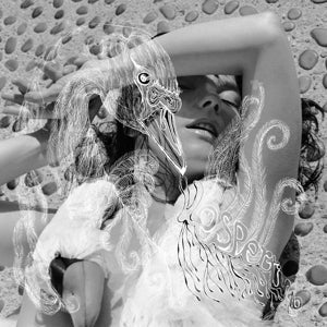 Bjork ~ Vespertine (Vinyl) - Djungel & Jazz