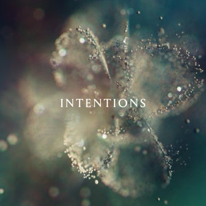 Anna – Intentions (LP)