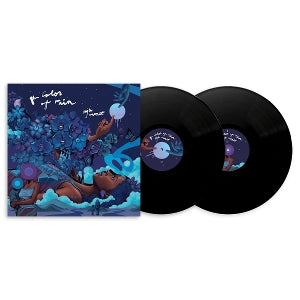 Aja Monet ~ The Color of Rain (Vinyl) - Djungel & Jazz
