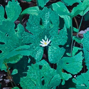 Early Fern ~ Wetland Interiors (Vinyl) - Djungel & Jazz