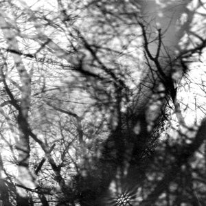 Grouper ~ Way Their Crept (Vinyl) - Djungel & Jazz