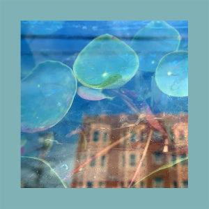 Reds Pinks & Purples ~ Acknowledge Kindness (Vinyl) - Djungel & Jazz