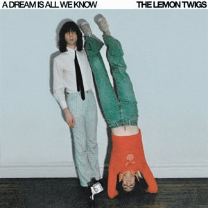 Lemon Twigs ~ A Dream is All We Know (Vinyl) - Djungel & Jazz