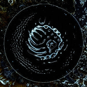 Stonus – Stonus (LP)